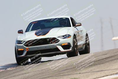 media/Jul-26-2025-Speed Ventures (Sat) [[fe569e6cf0]]/Black Group/Grapvine/